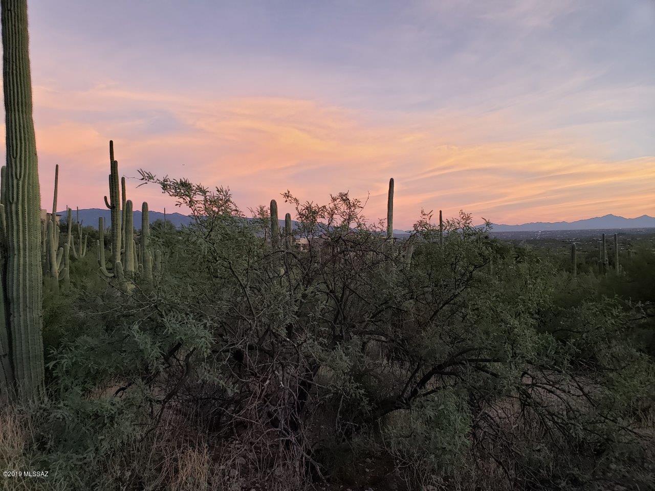 Sabino Estates (1-45) - Land