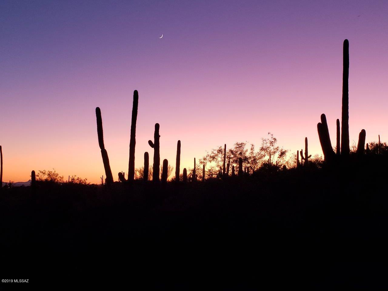 Sabino Estates (1-45) - Land