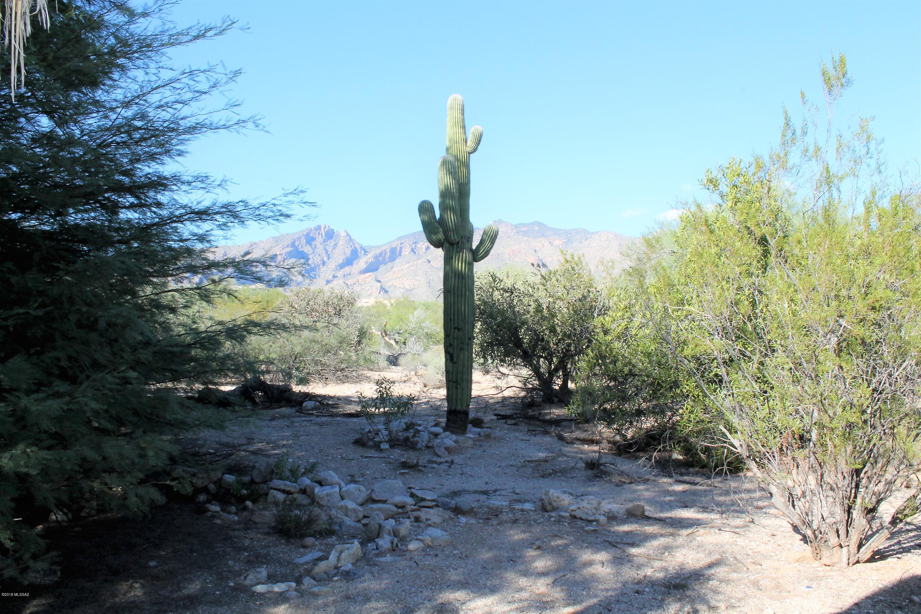 Flecha Caida Ranch Estates - Residential