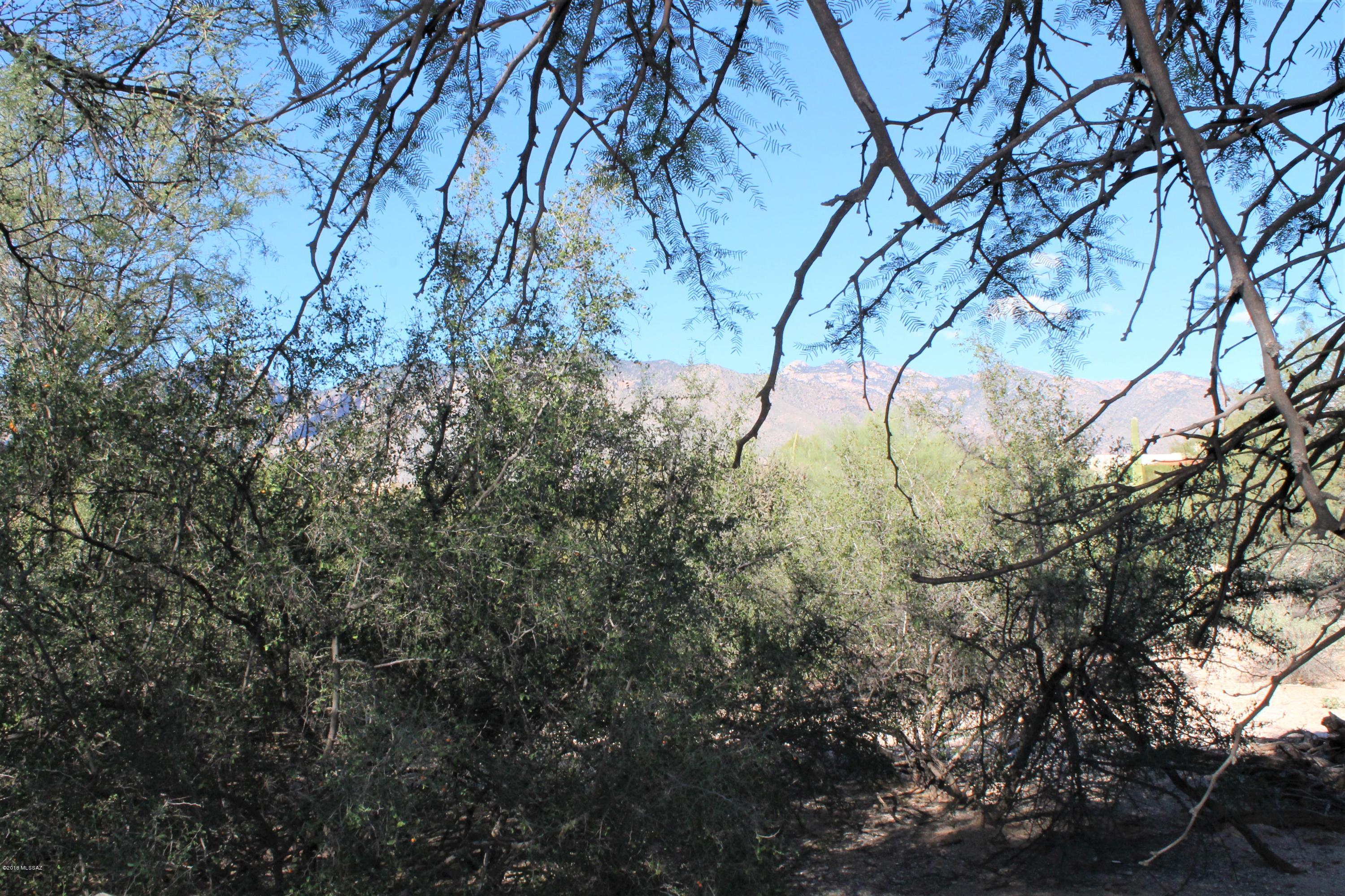 Flecha Caida Ranch Estates - Residential