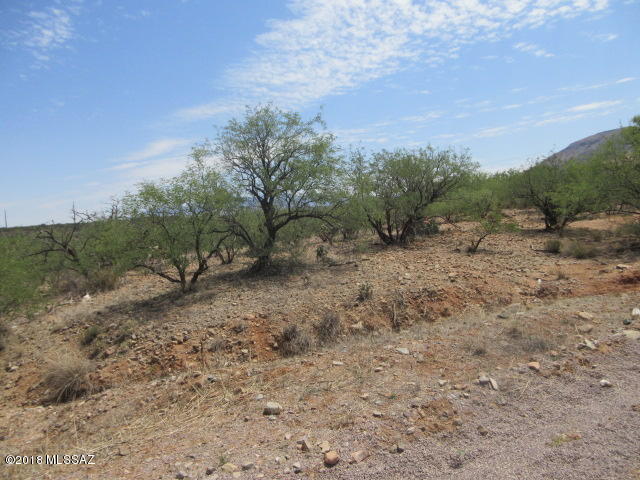 Rio Rico Ranchettes 18 - Land