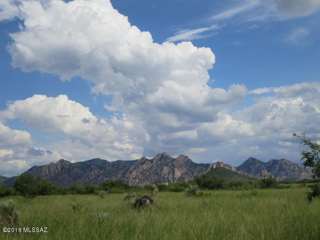 Dragoon Mountain Ranch - Land