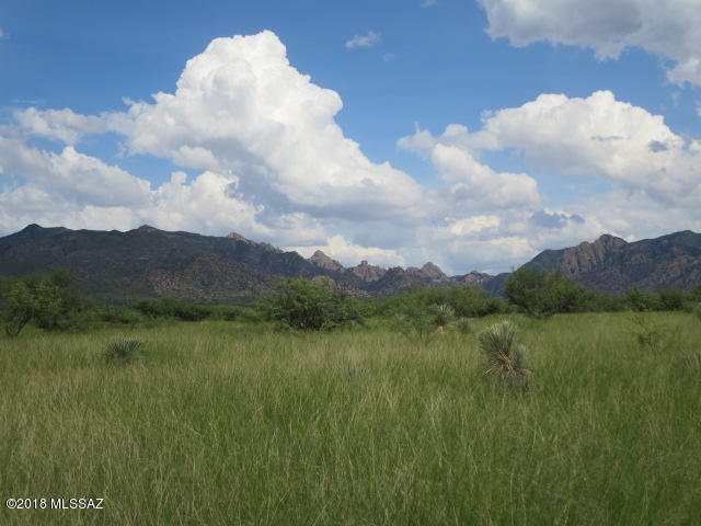 Dragoon Mountain Ranch - Land