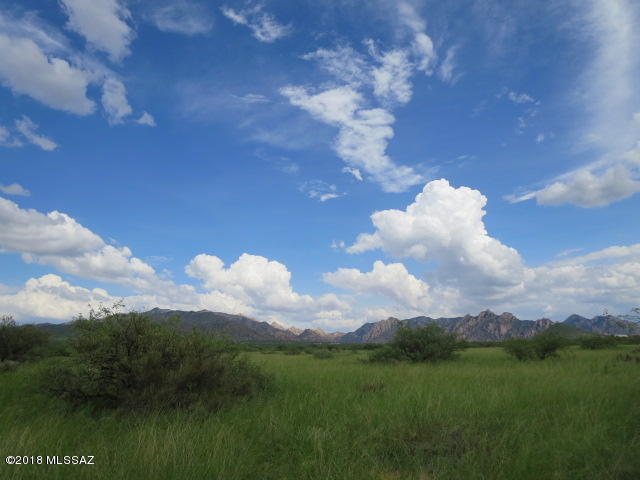 Dragoon Mountain Ranch - Land