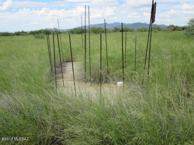 Dragoon Mountain Ranch - Land