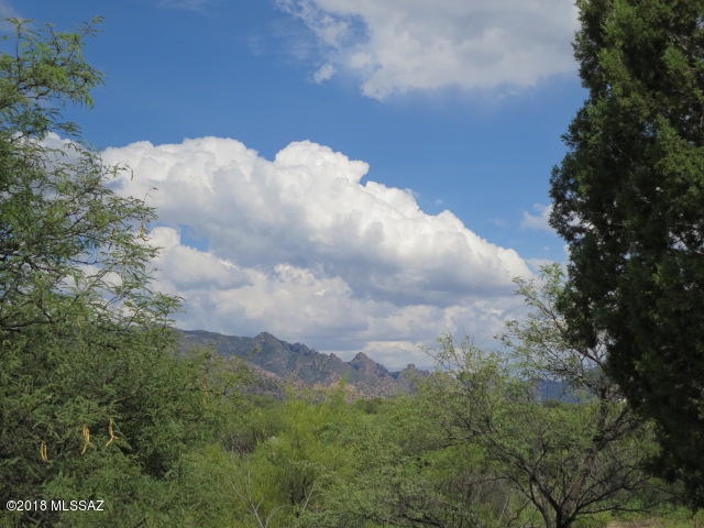 Dragoon Mountain Ranch - Land