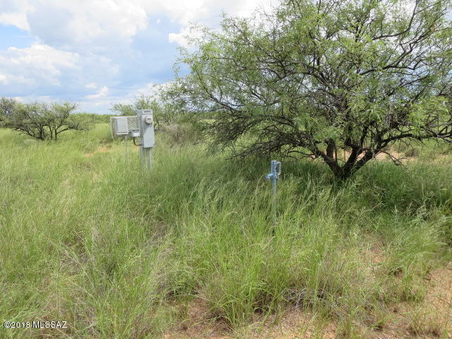 Dragoon Mountain Ranch - Land