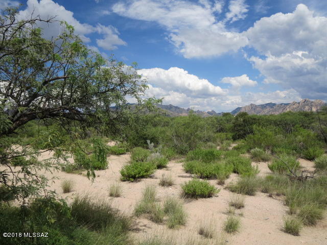 Dragoon Mountain Ranch - Land