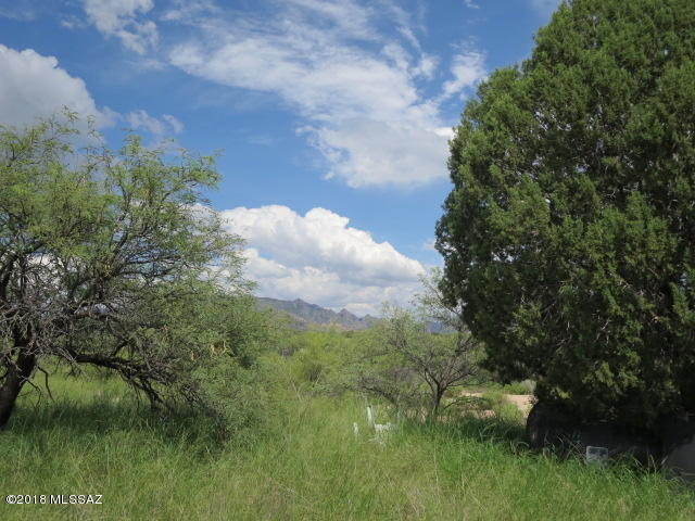 Dragoon Mountain Ranch - Land