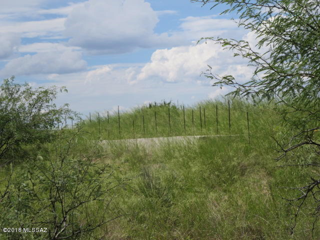 Dragoon Mountain Ranch - Land