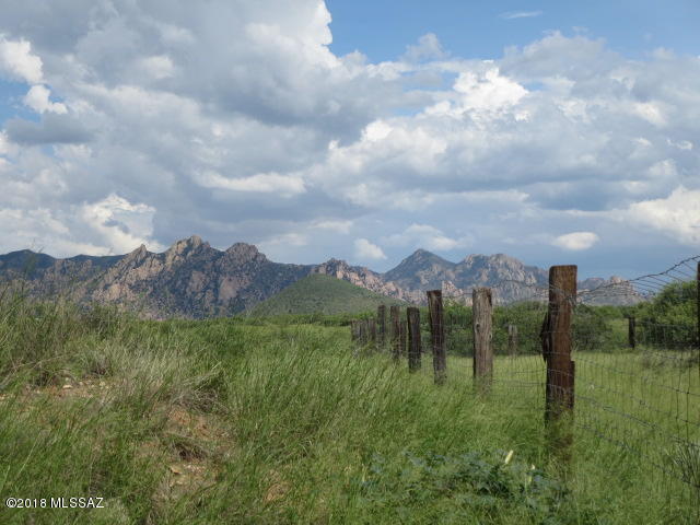 Bring your house plans! Ready to build 36.20 acre lot has all utilities in place with 360 degree mountain views in the gated Dragoon Mountain Ranch Subdivision in St. David, AZ. DMR is situated at the base of the Dragoon Mountains and features minimum lot sizes of 36 acres with horseback riding and hiking easements as well as private access to Coronado National Forest Land. This lot has a private well with 2 tandem 1800 gal. underground storage tanks, a septic system, a 1000 gal underground propane tank & underground telephone & electrical to the proposed building site with 2 separate meters. 1 for the well & 1 for the proposed home/shop/carport. This is a beautiful lot with many improvements in place waiting for someone to build.