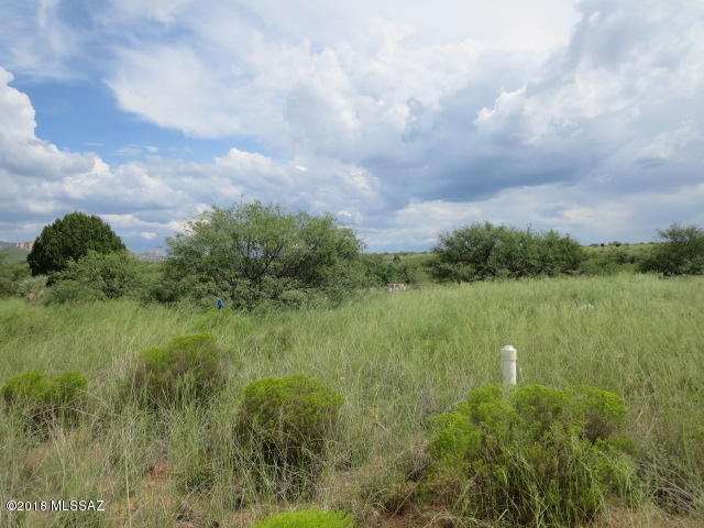 Dragoon Mountain Ranch - Land