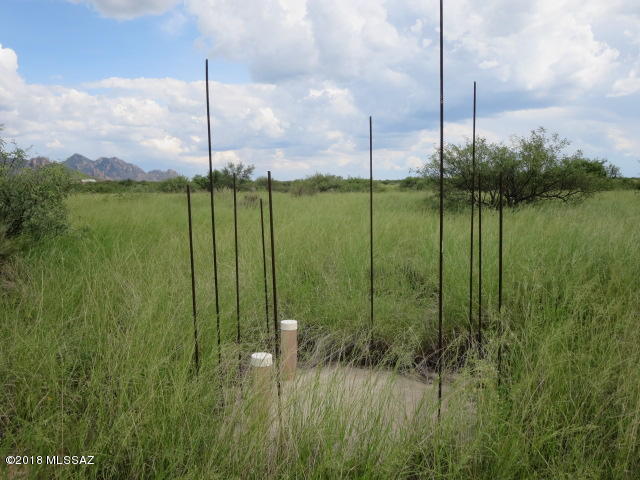 Dragoon Mountain Ranch - Land