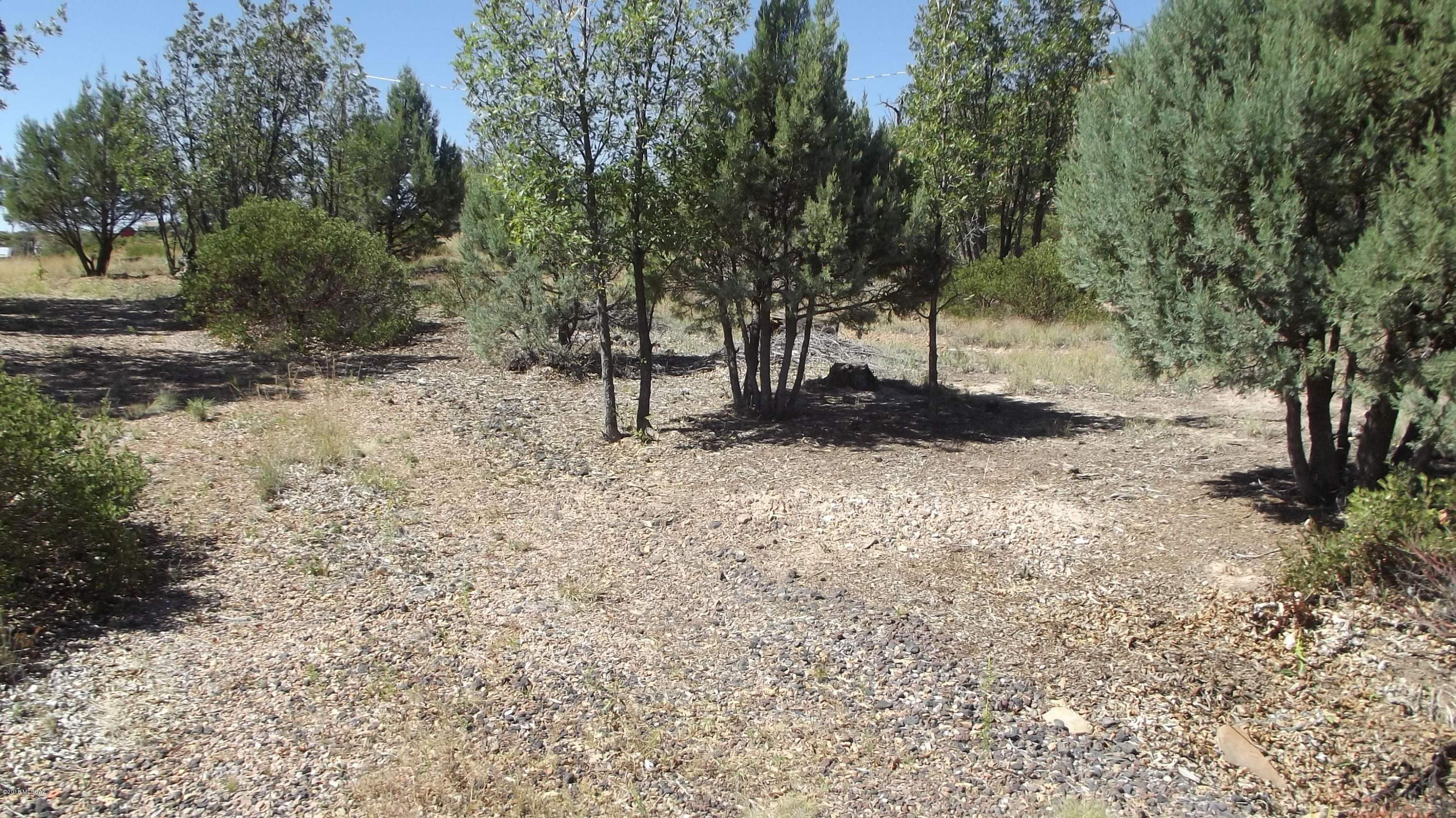 Out Of Pima County - Land