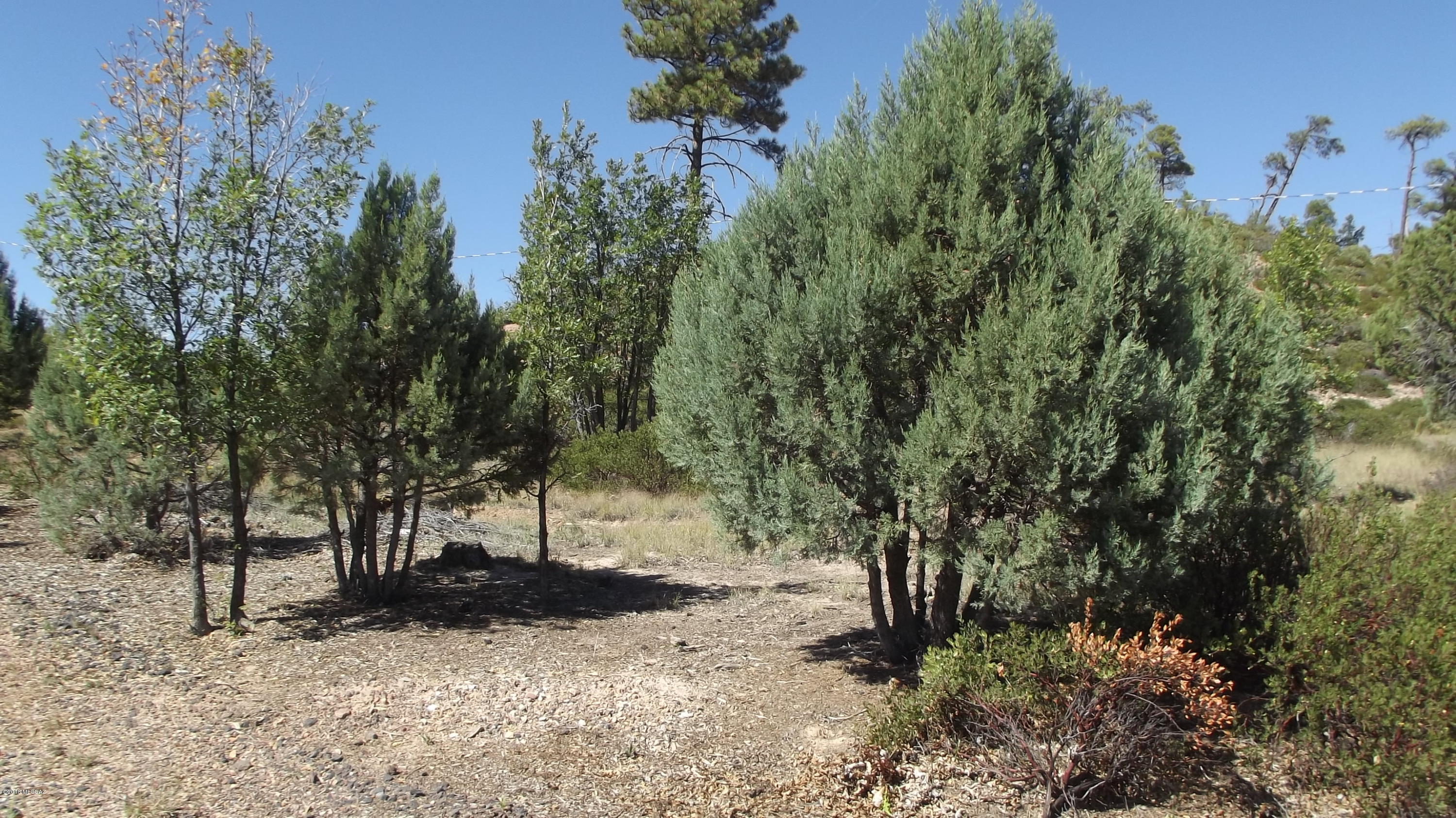 Out Of Pima County - Land