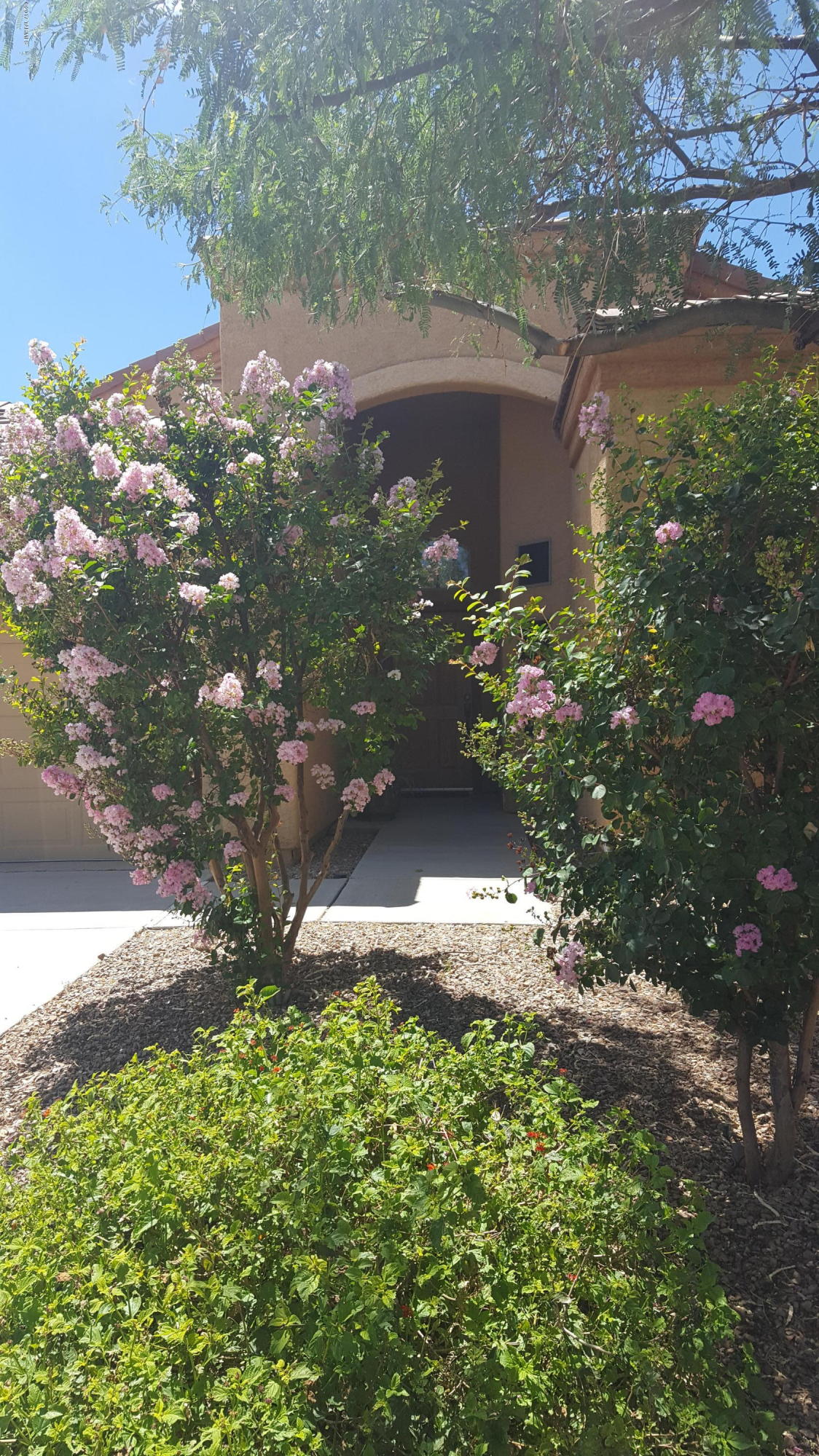 New Tucson Unit NO. 8 (1-455) - Residential
