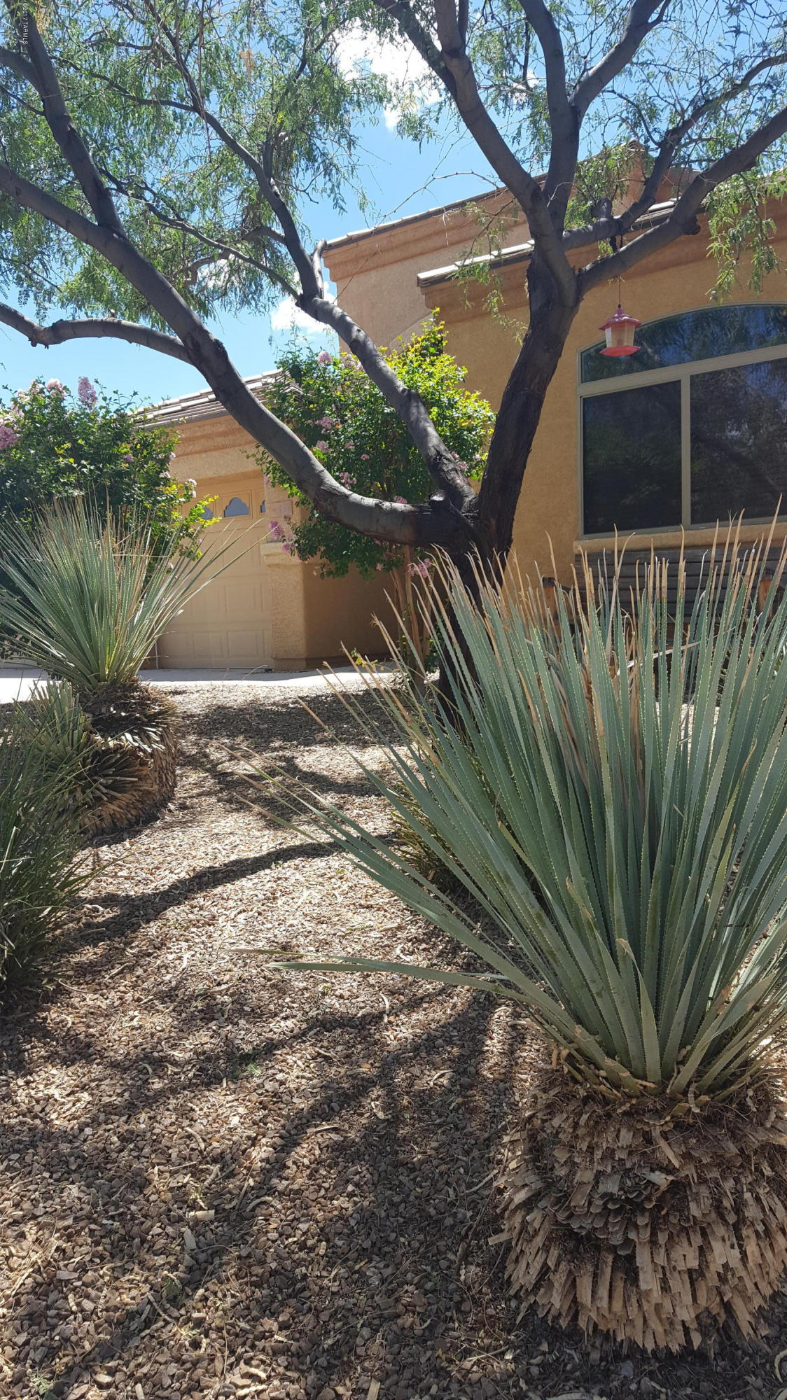 New Tucson Unit NO. 8 (1-455) - Residential