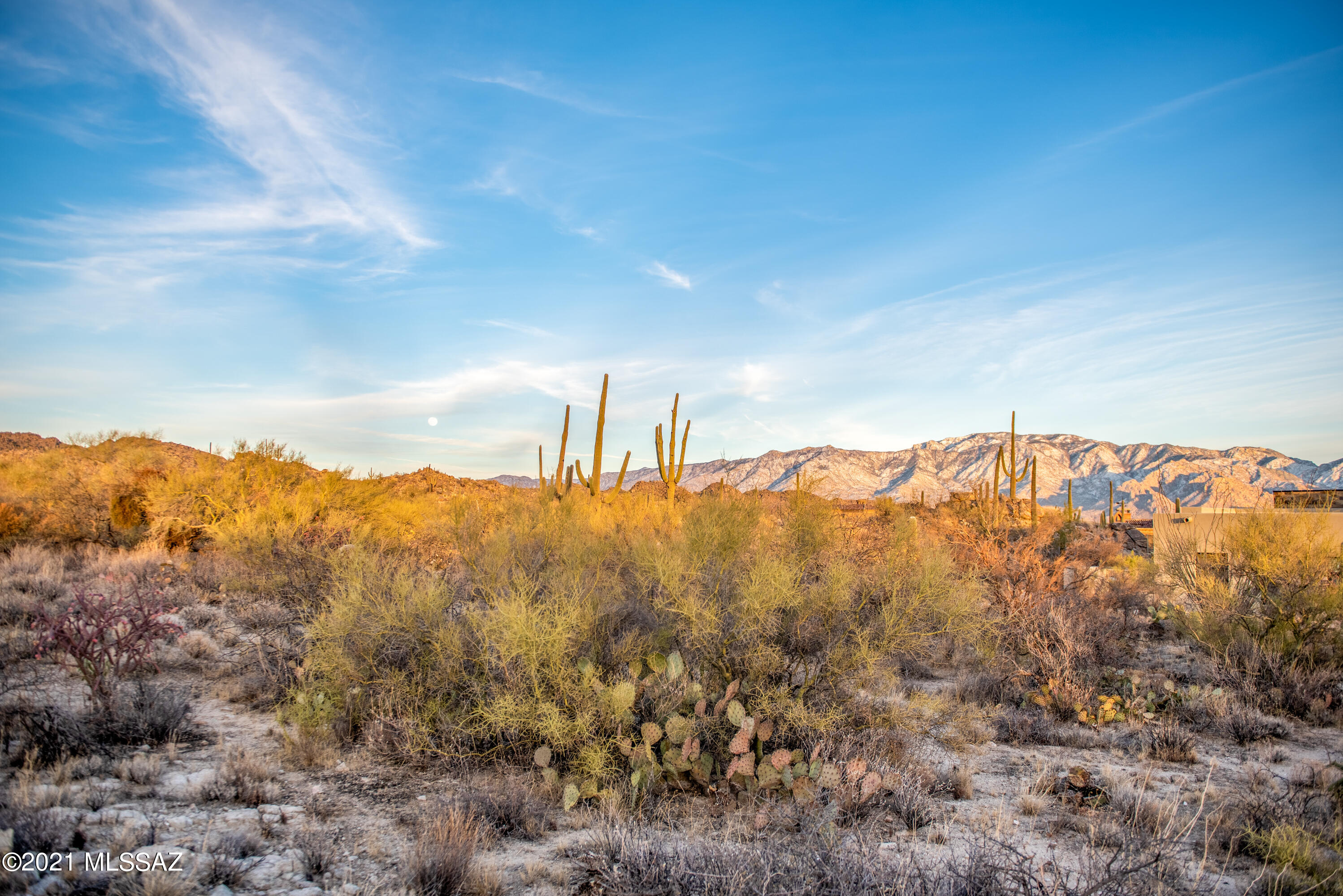Stone Canyon II - Land