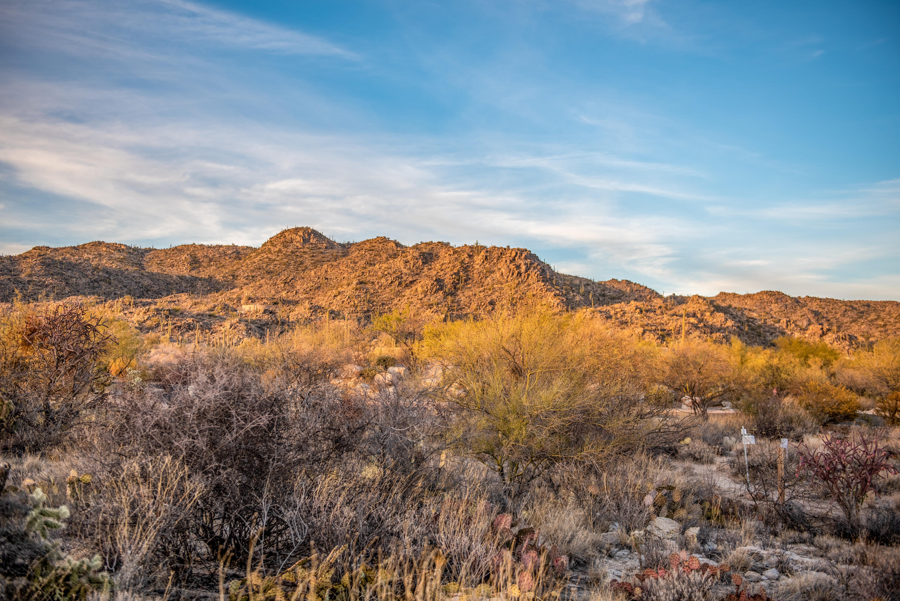 Stone Canyon II - Land