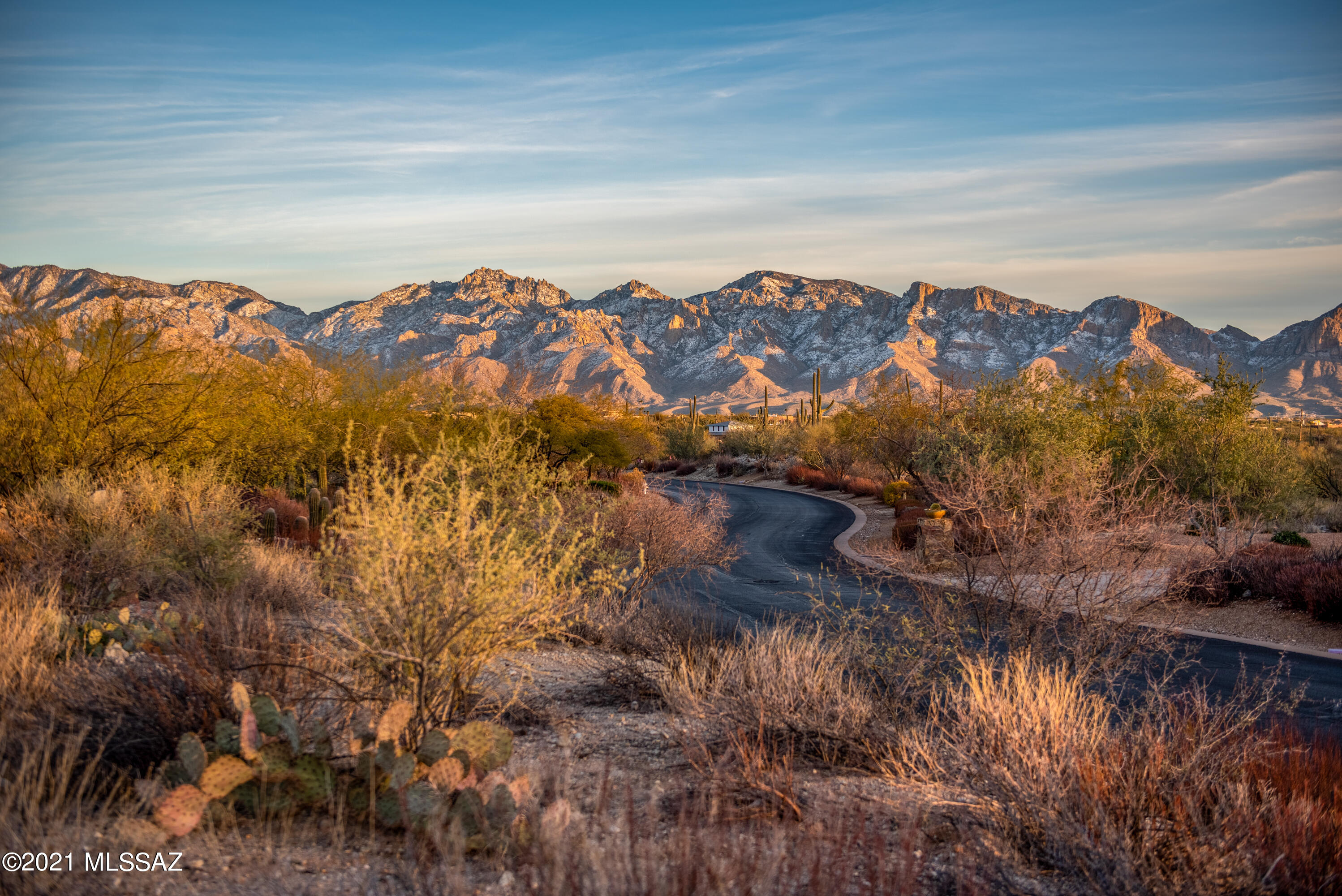 Stone Canyon II - Land