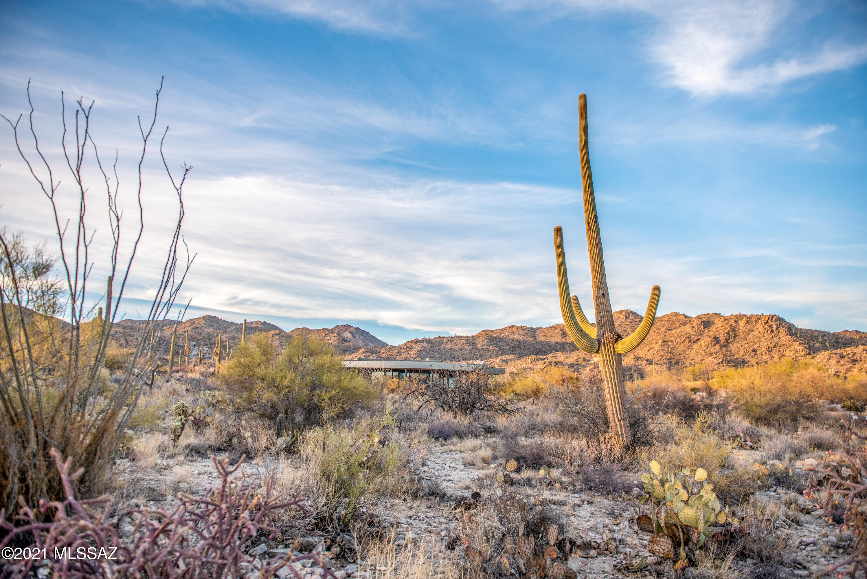 Stone Canyon II - Land