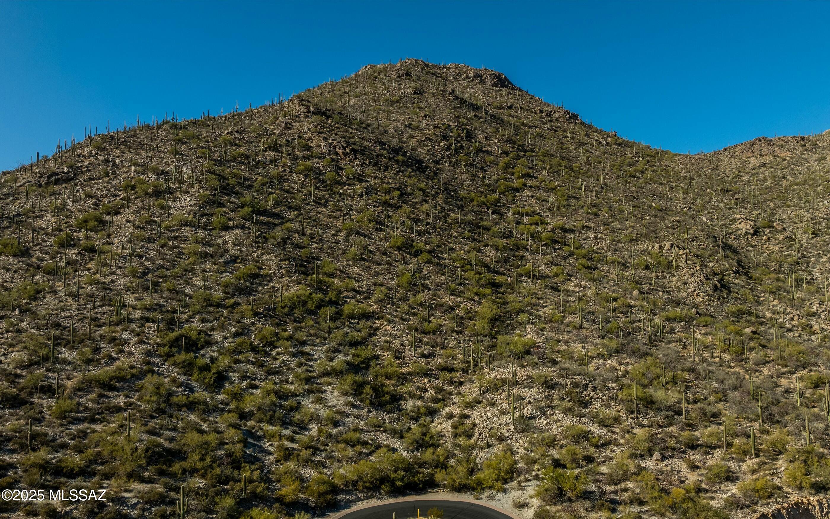 Canyon Pass At Dove Mountain - Land