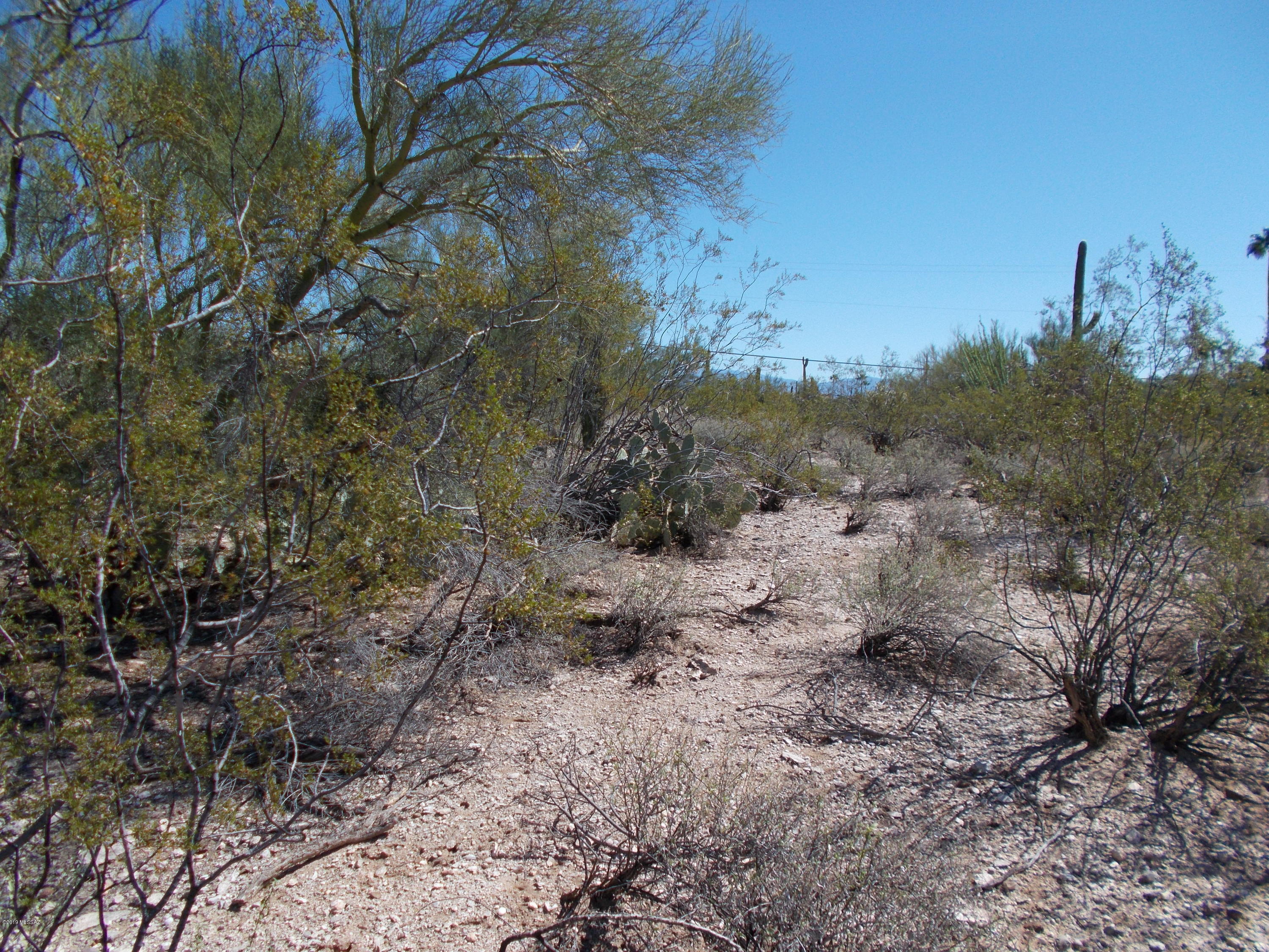 Catalina Foothills Estates NO. 5 - Land