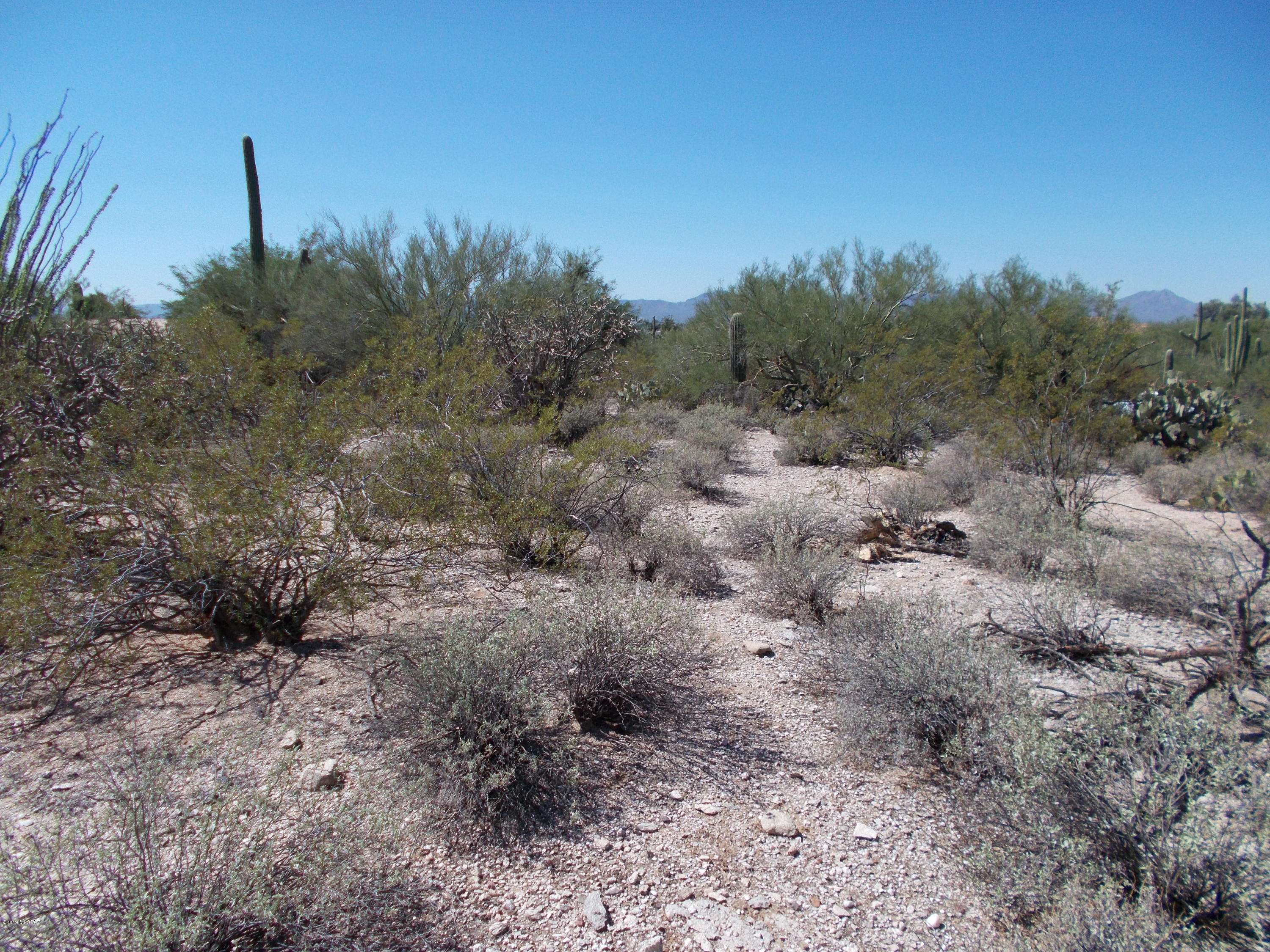 Catalina Foothills Estates NO. 5 - Land
