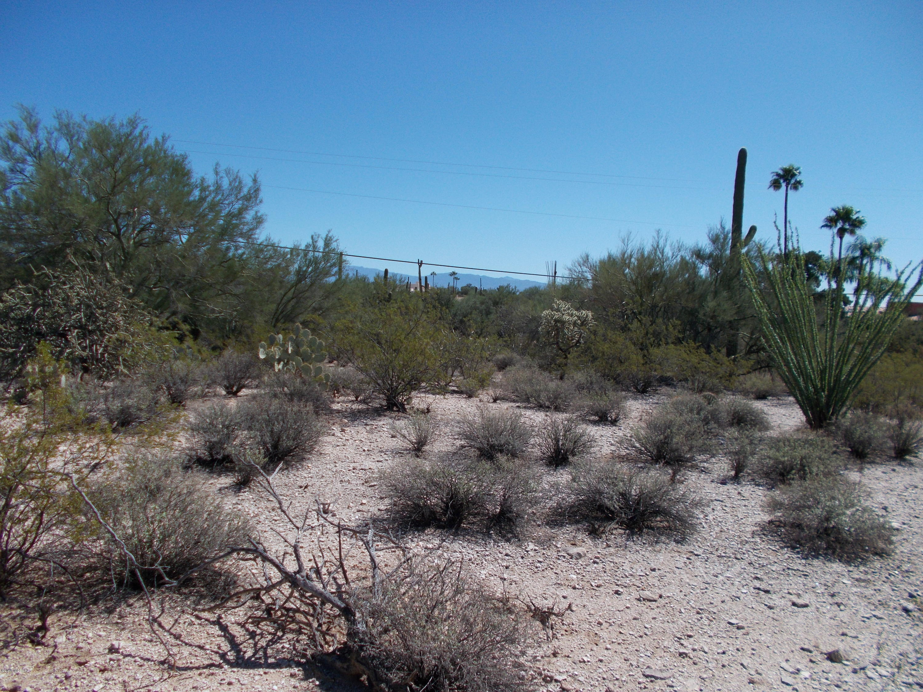 Catalina Foothills Estates NO. 5 - Land