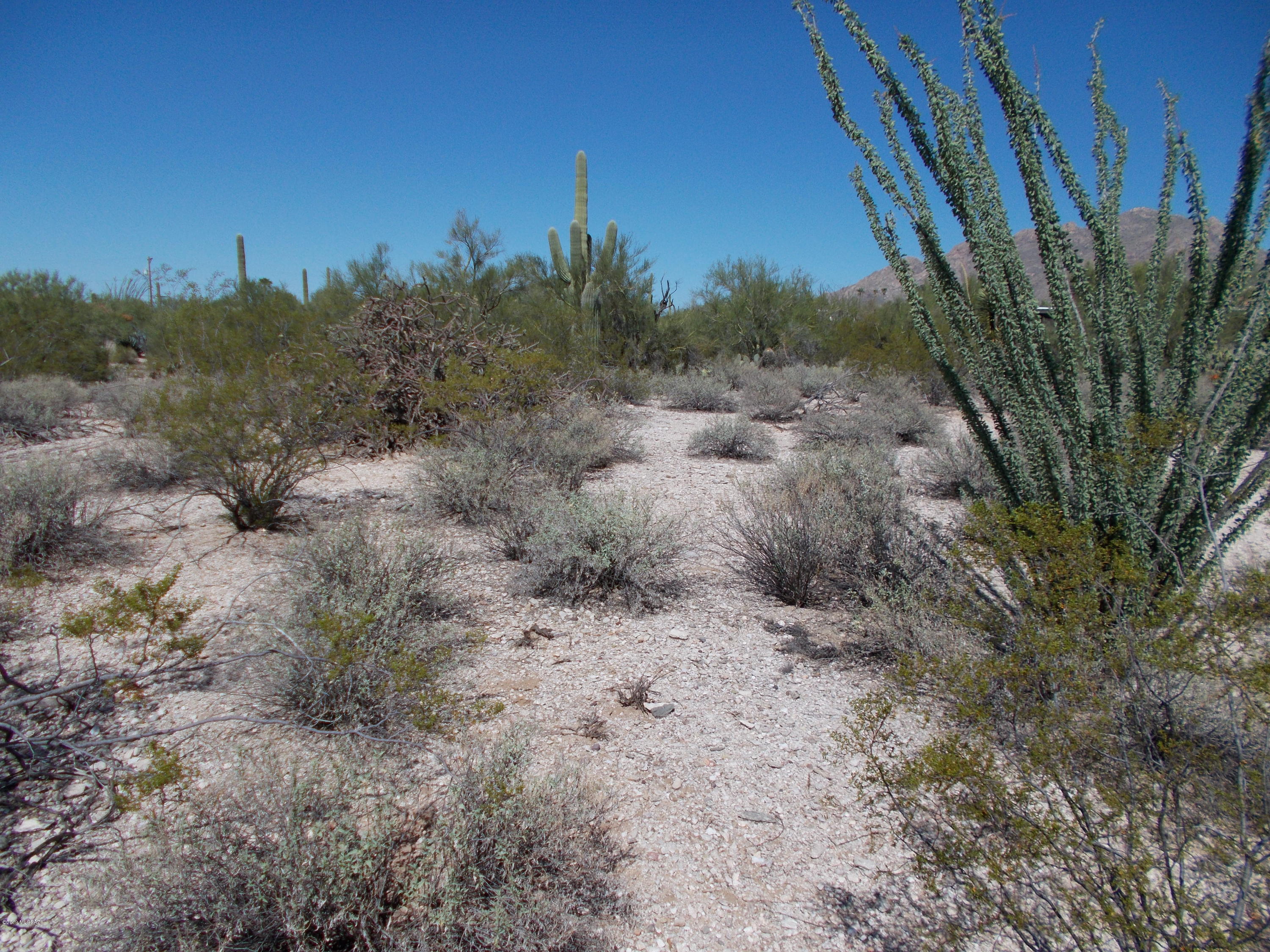 Catalina Foothills Estates NO. 5 - Land