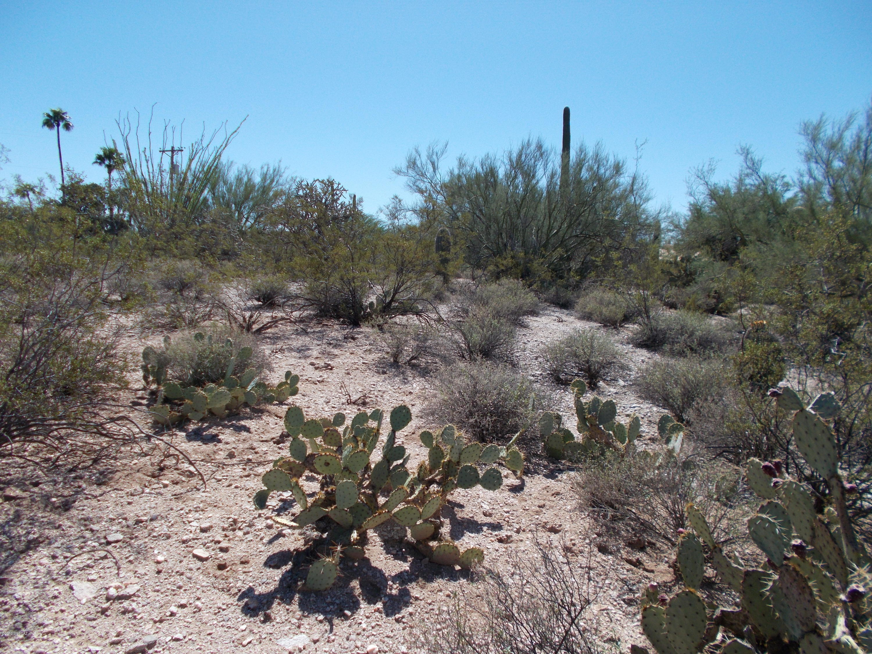 Catalina Foothills Estates NO. 5 - Land