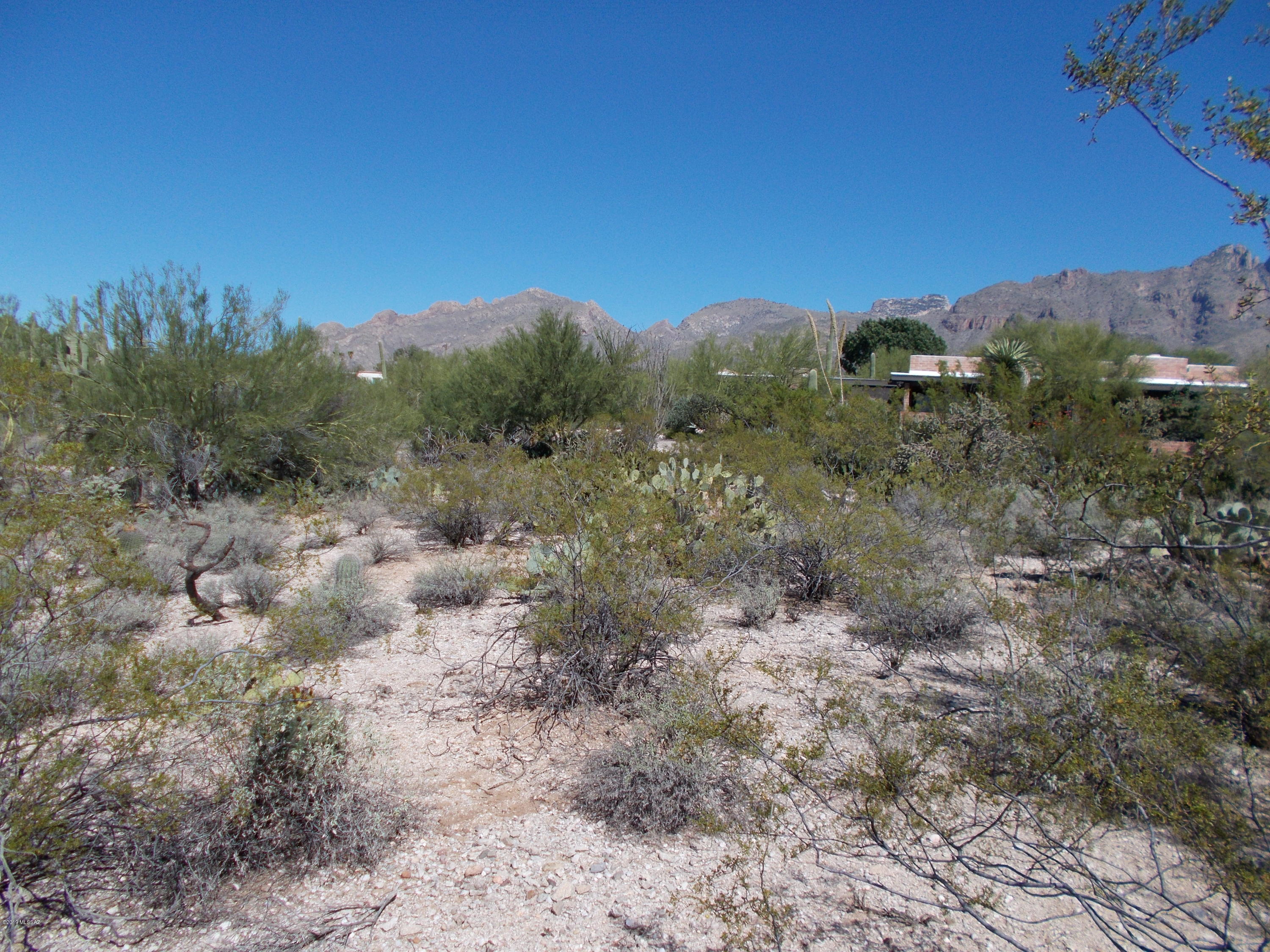 Catalina Foothills Estates NO. 5 - Land