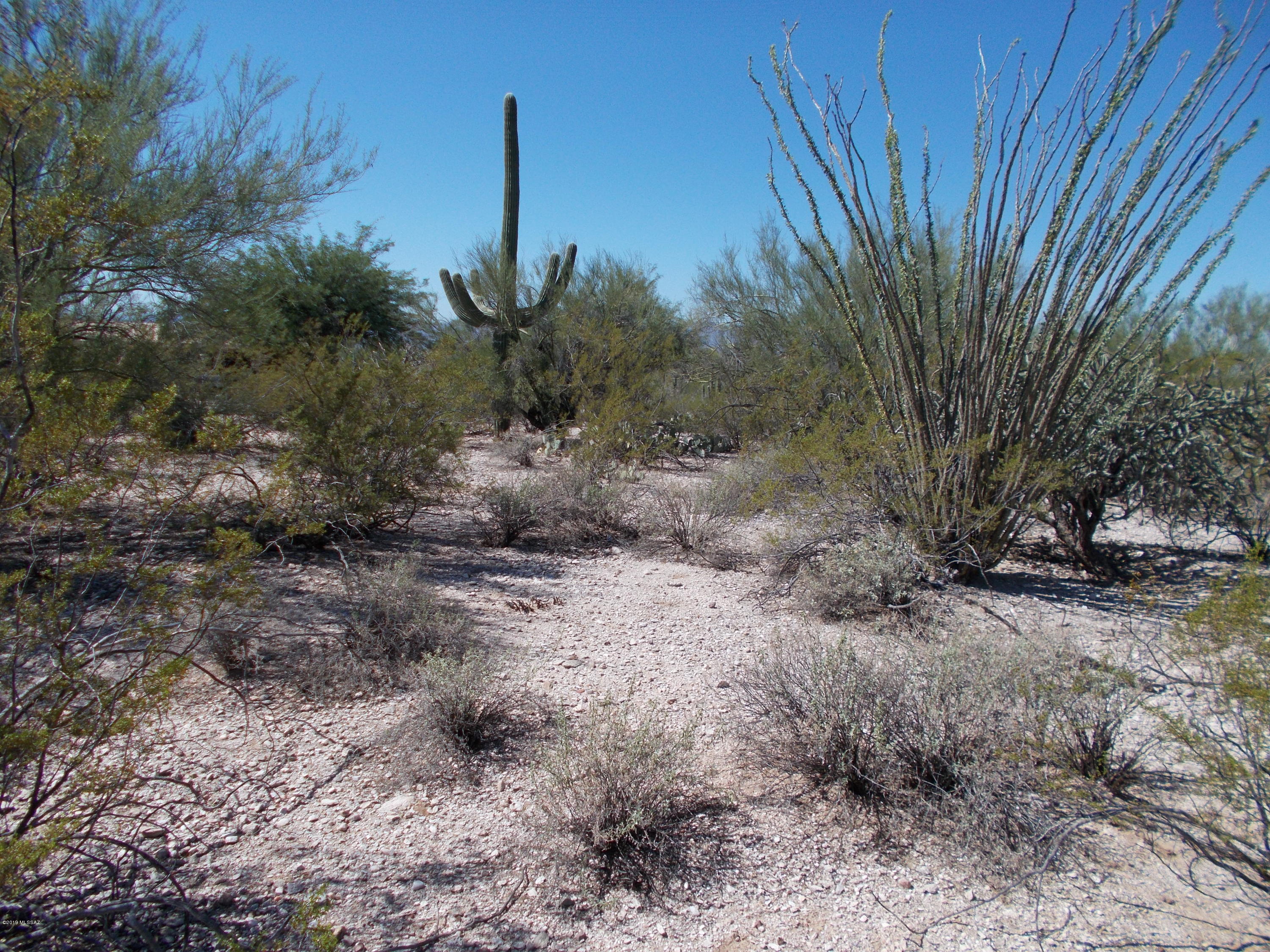 Catalina Foothills Estates NO. 5 - Land