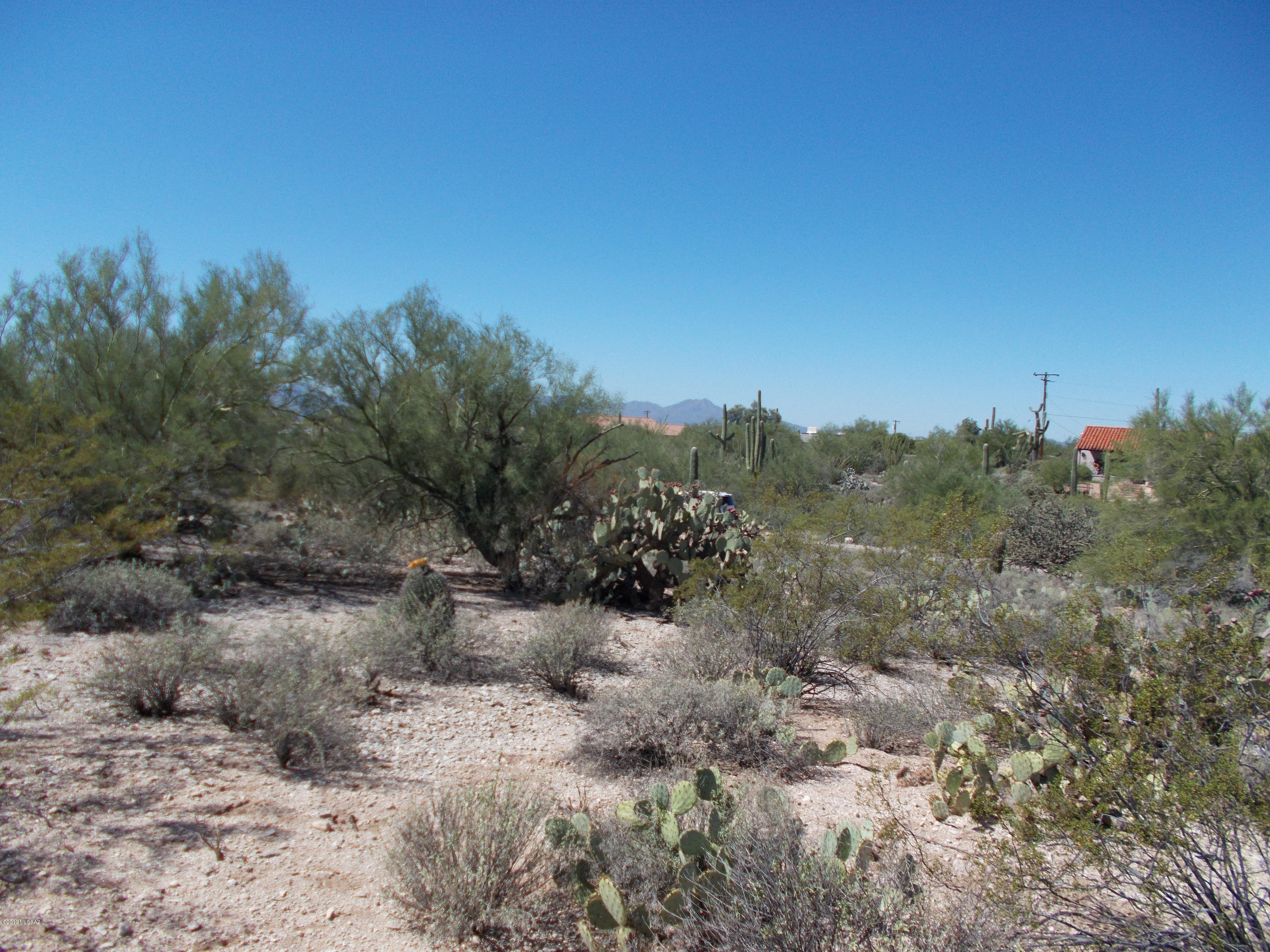 Catalina Foothills Estates NO. 5 - Land
