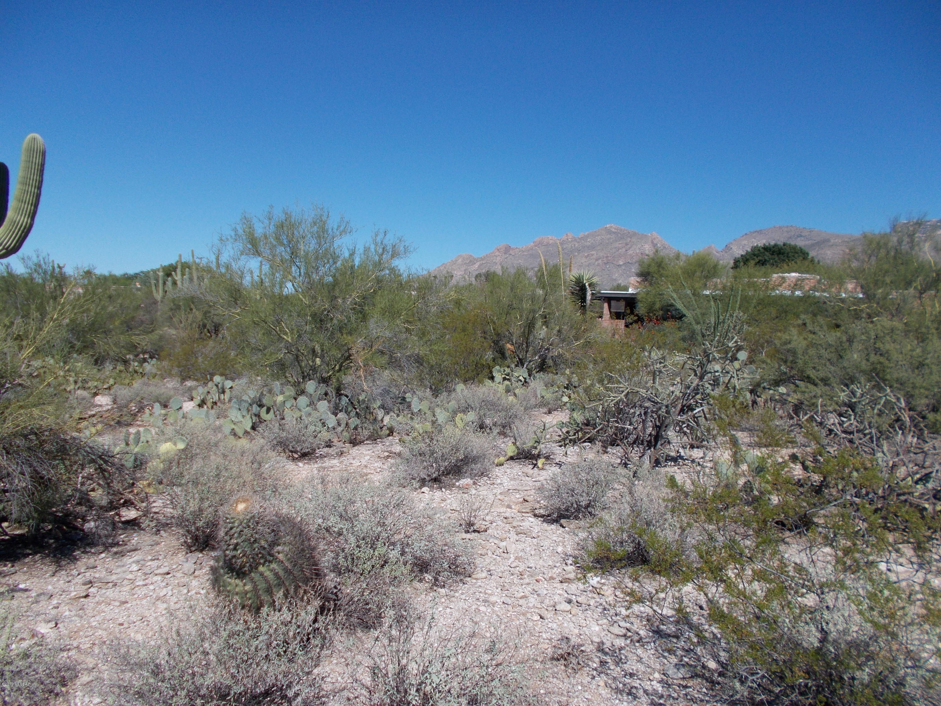 Catalina Foothills Estates NO. 5 - Land