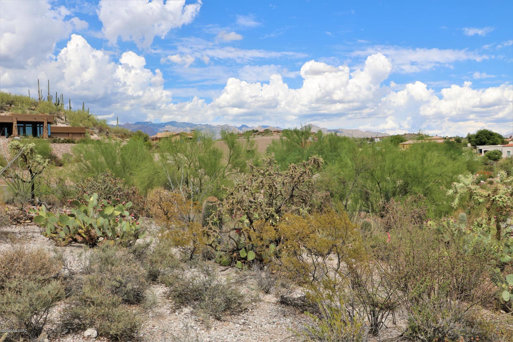 Rio Verde Vista III - Land