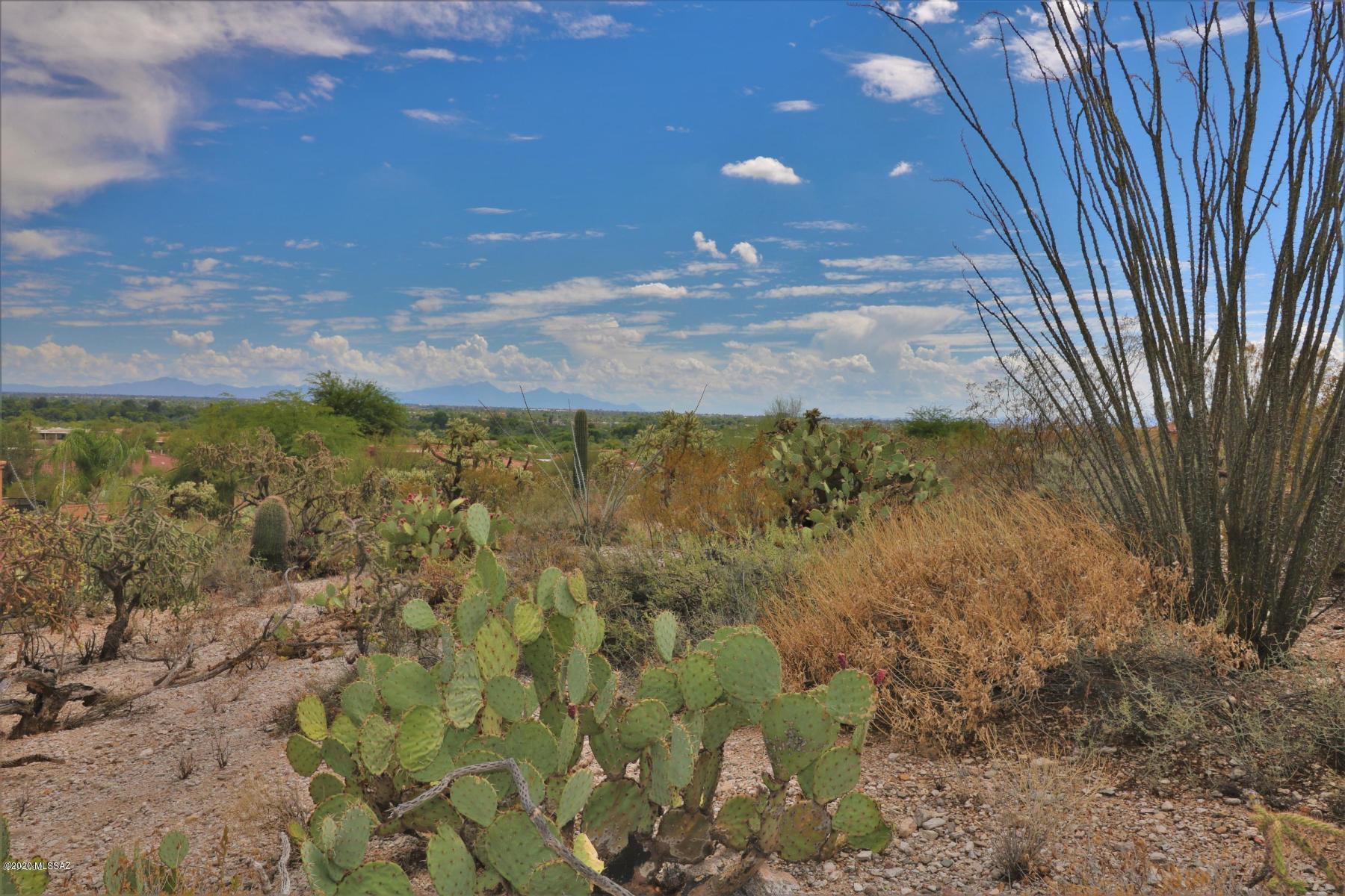 Build your dream home right in the heart of the Catalina Foothills! River Gate Estates offers sweeping views of Tucson and the Catalina mountains within a private gated community. Easy to build homesite with all utilities at the lot line. Enjoy the security of a gate community with easy access to shopping, hospitals and main corridors!