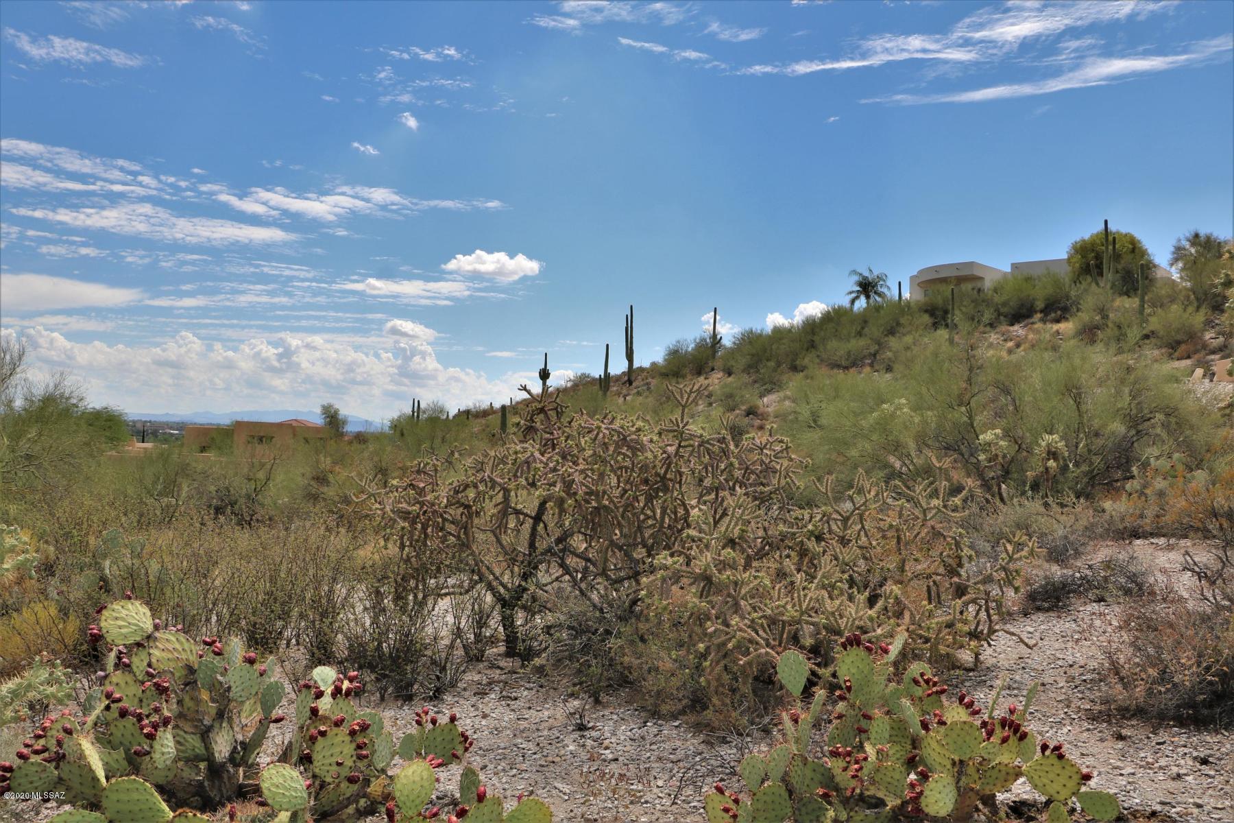 Rio Verde Vista III - Land
