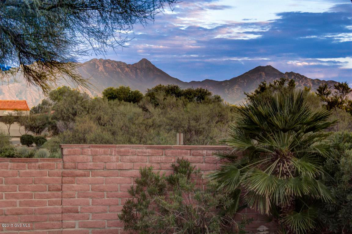 Spectacular mountain views from living room, dining area, kitchen and Arizona room! Single family home is located on a large convenient .455 acre lot within easy walking distance to GVR West Center, grocery, shops, restaurants. Friendly Continental Vistas HOA, which has it's own GVR Center/swimming pool/water aerobics. GVR offers classes, pools, exercise facilities, tennis, pickle ball and more.
 Huge Saguaro, wild life viewing in backyard arroyo, open floor plan, two car garage with small work shop, separate laundry area.
 Come and see this home that offers so many desirable attributes and make it your own. Green Valley desert sunsets over the mountains could be in your future!