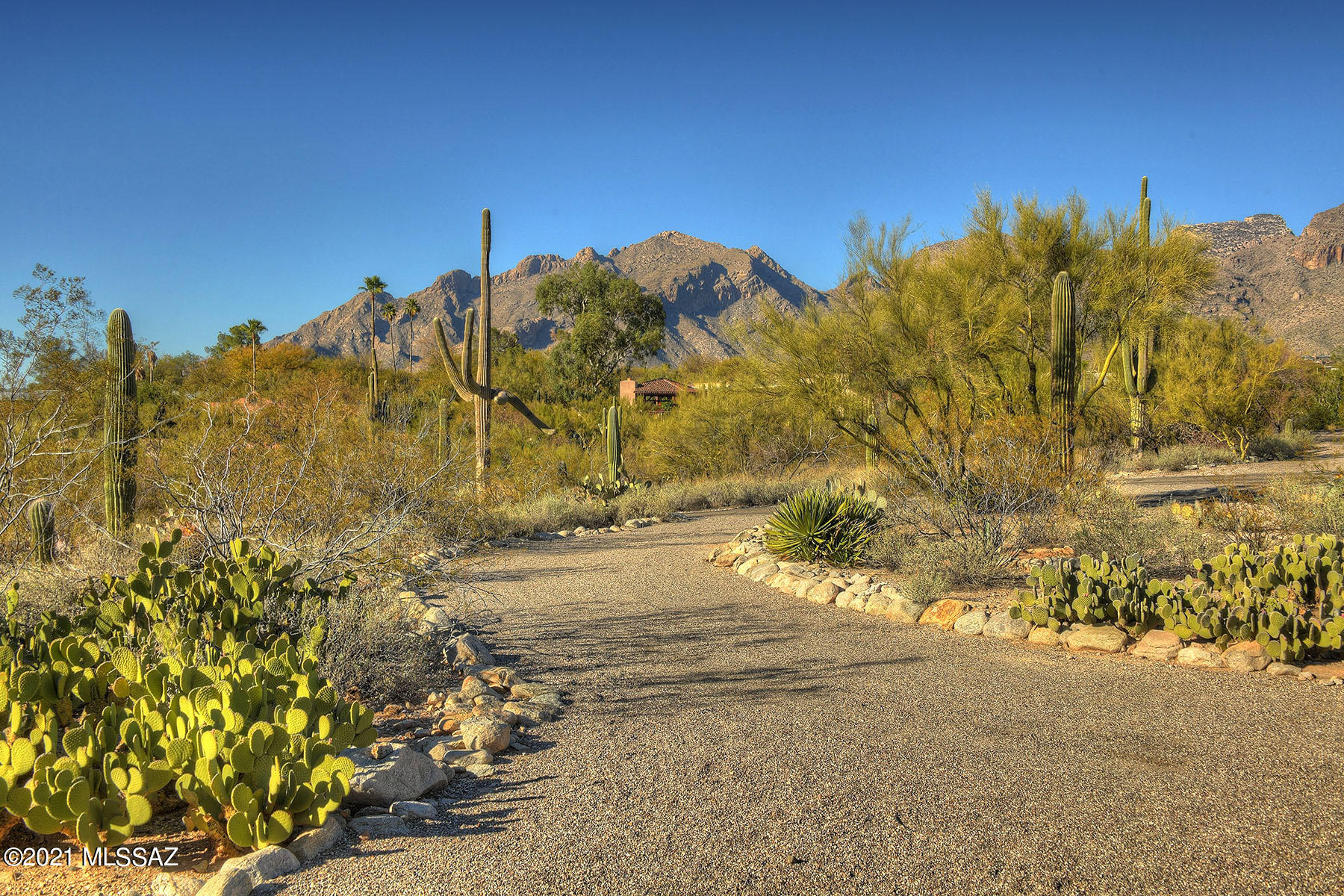 Catalina Foothills Estates NO. 5 - Residential