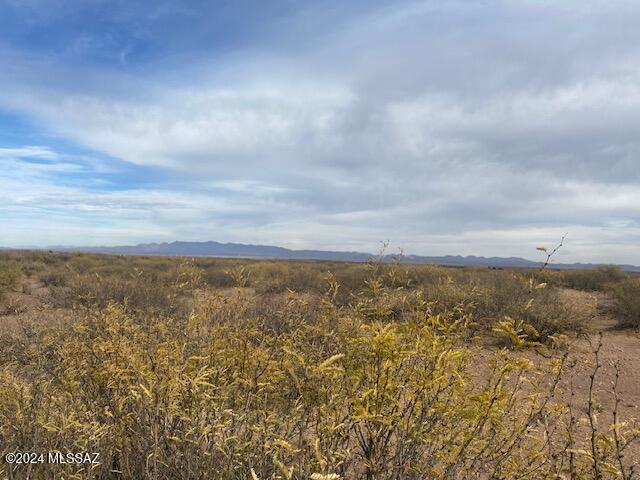 8 Acre Parcel in the Country. Not too far from Bisbee and Tombstone. Will need utilities. Power is two properties away. Good Panoramic and Surrounding views. Zoned RU-4 which is Highly desired. No HOA. No CC&R's. Manufactured homes also allowed.
SURVEY is under the documents Tab.