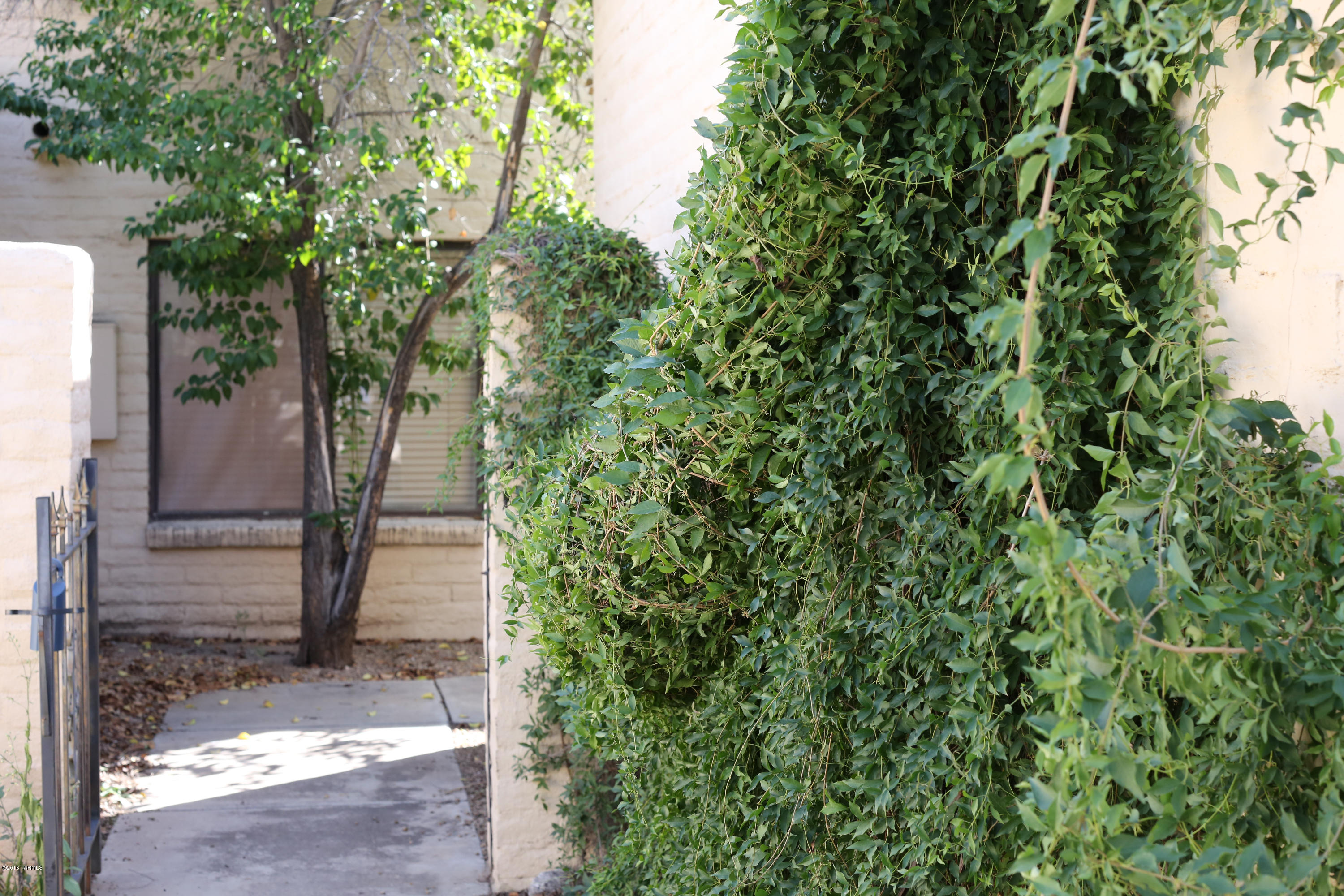 Sunrise Presidio Townhomes (1-297) - Residential