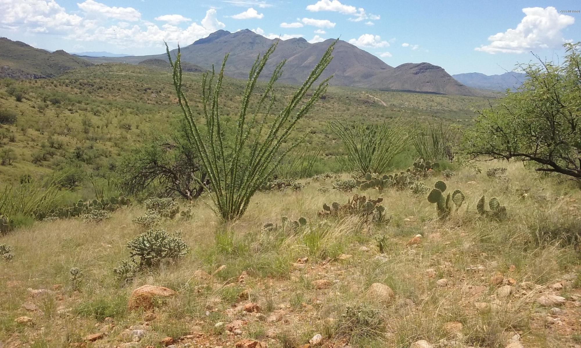 Rio Rico Villas 10 - Land