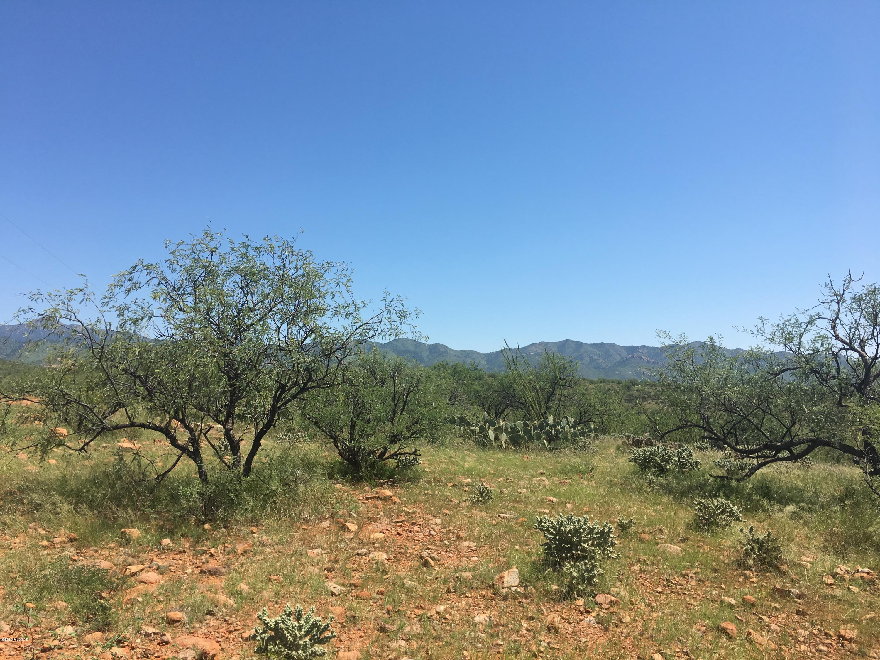 57.9 Acres-Beautiful unobstructed views from this 57.9 acres with level building sites from your dream home.