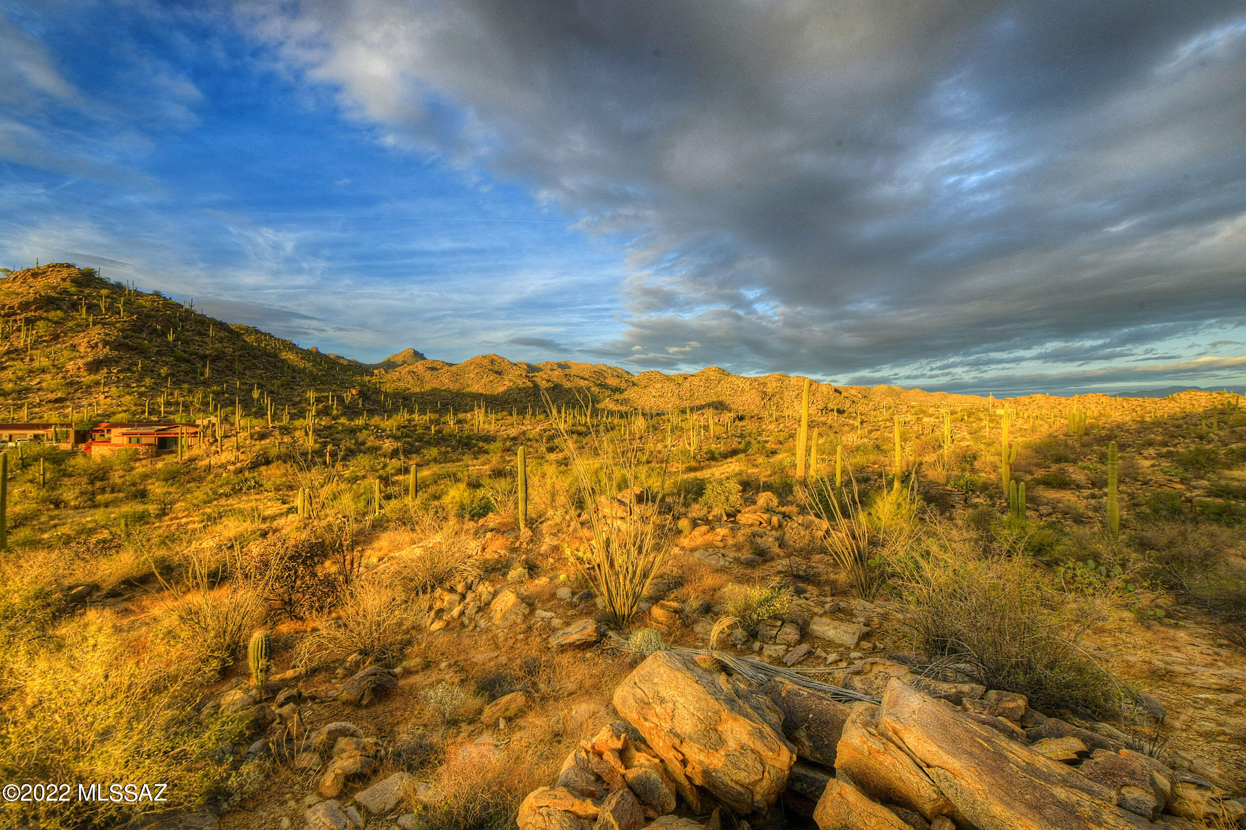 Saguaro Ranch South Amended - Land
