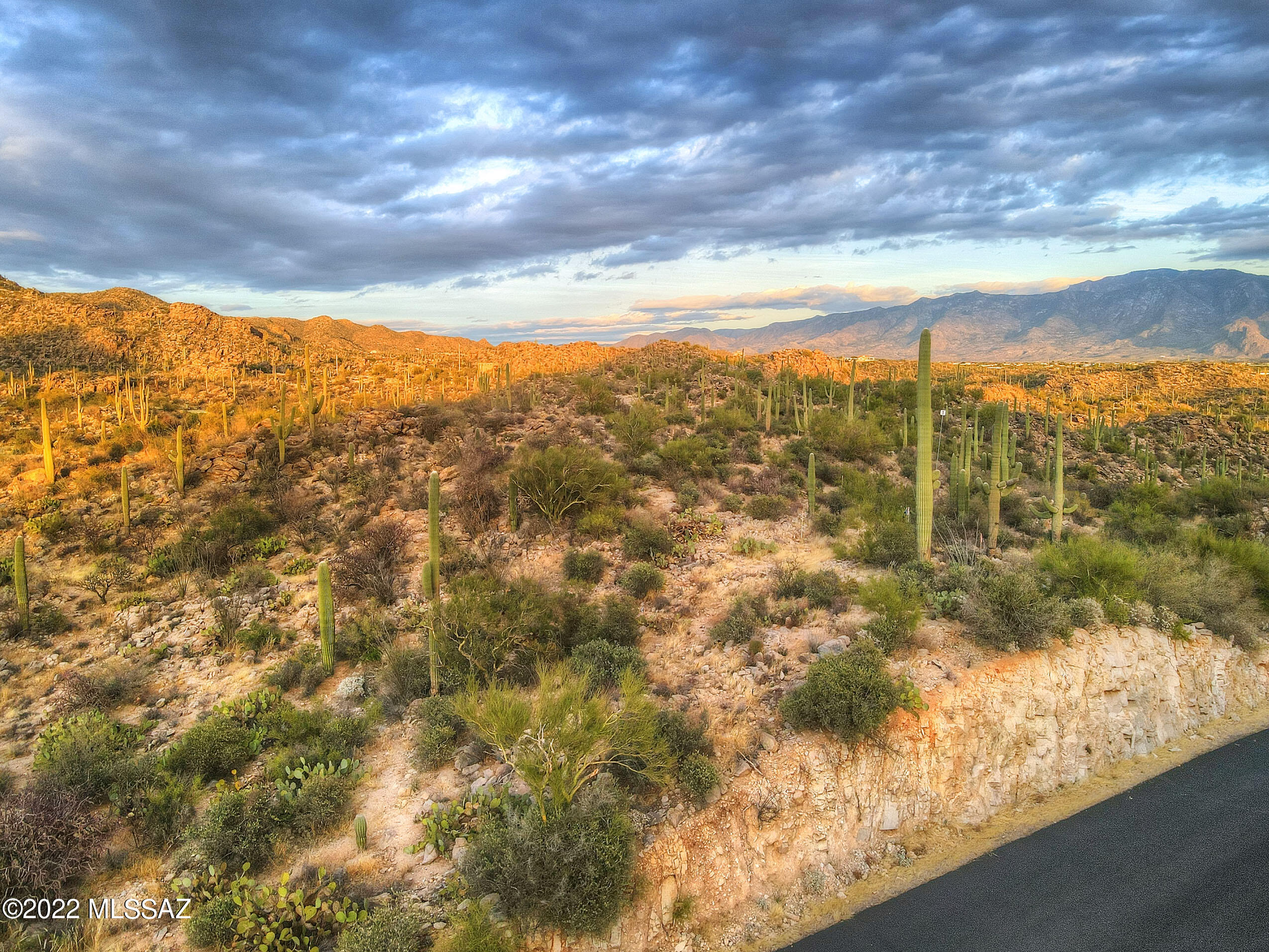 Saguaro Ranch South Amended - Land