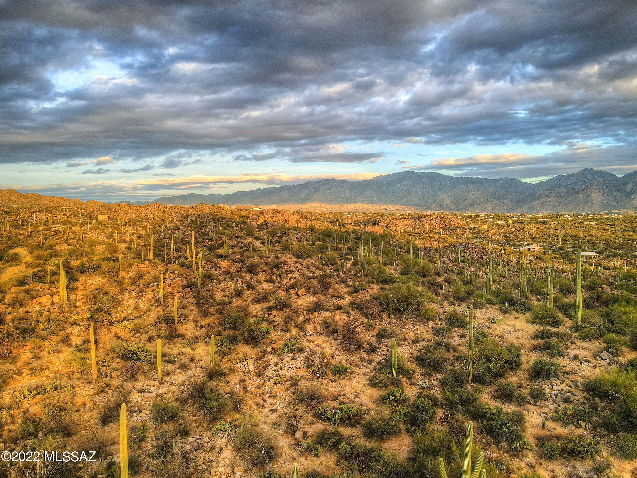Saguaro Ranch South Amended - Land