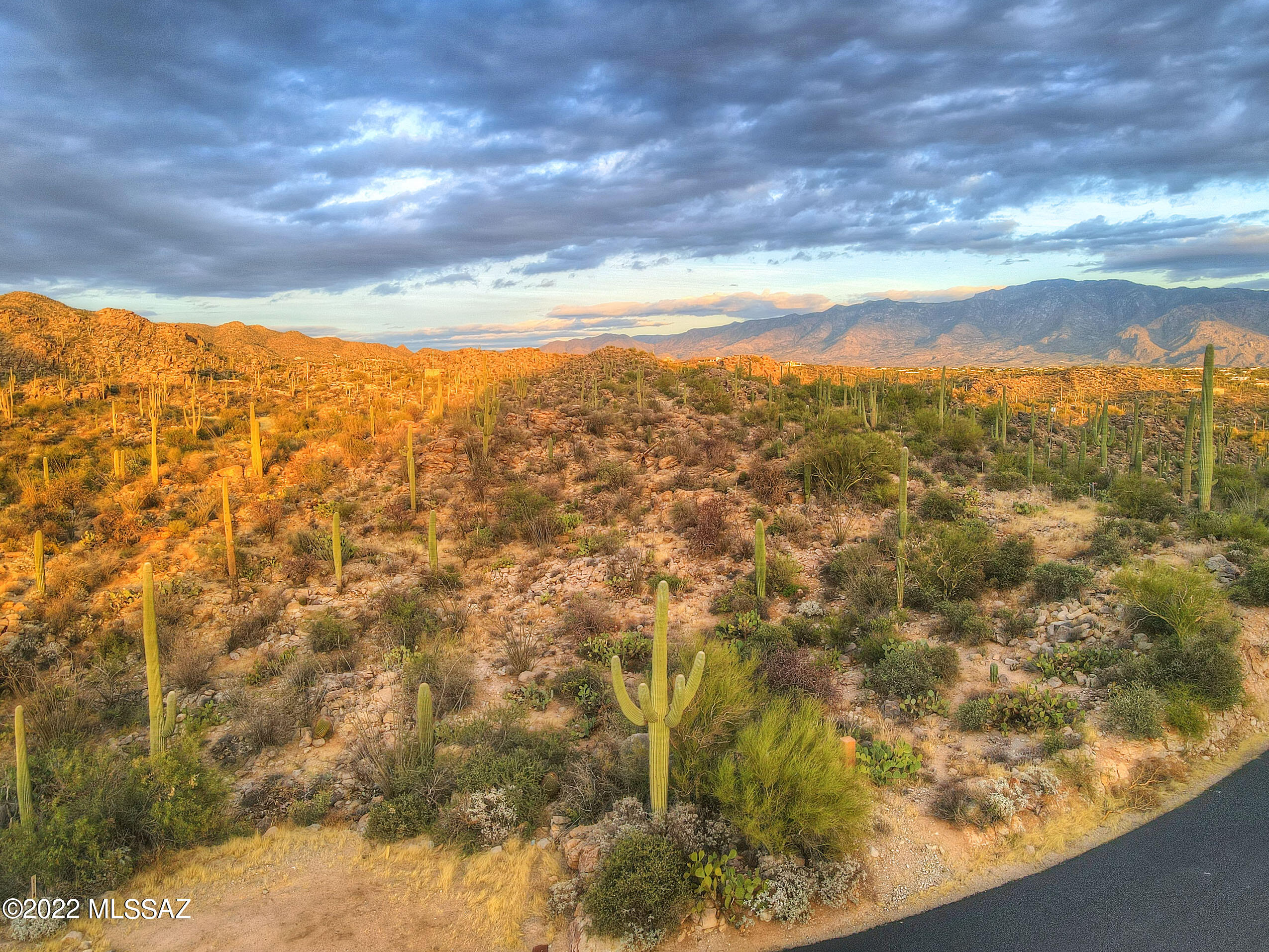 Saguaro Ranch South Amended - Land