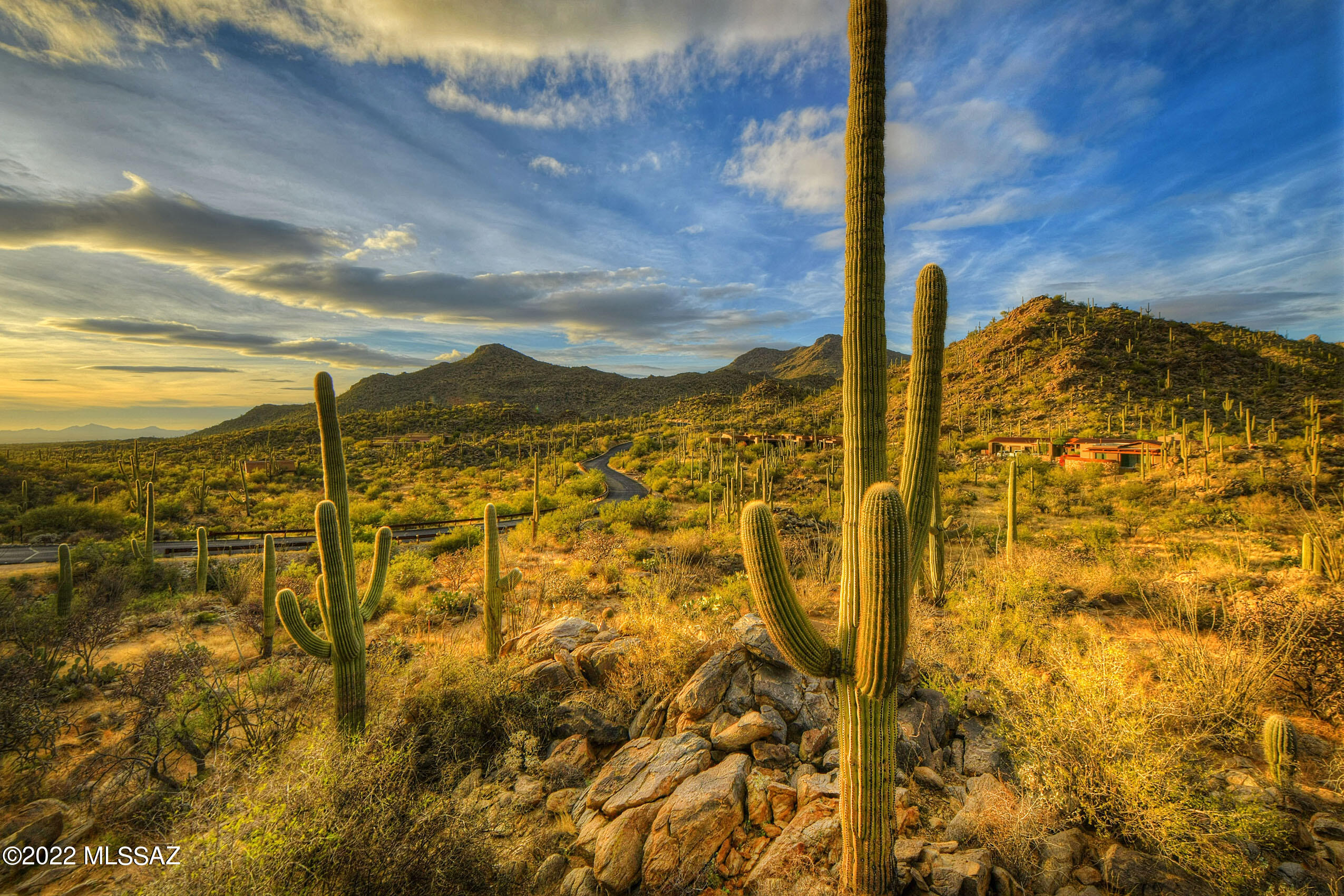 Saguaro Ranch South Amended - Land
