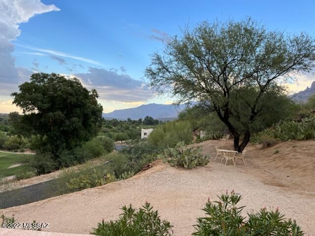 Oro Valley Estates - Residential